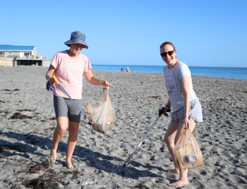 December 2020 Beach Cleanup