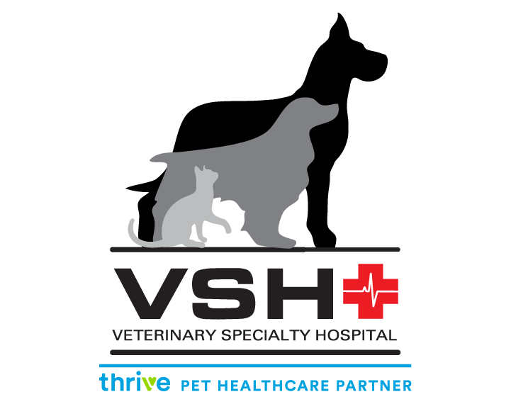 VSH_TPHP-Logo