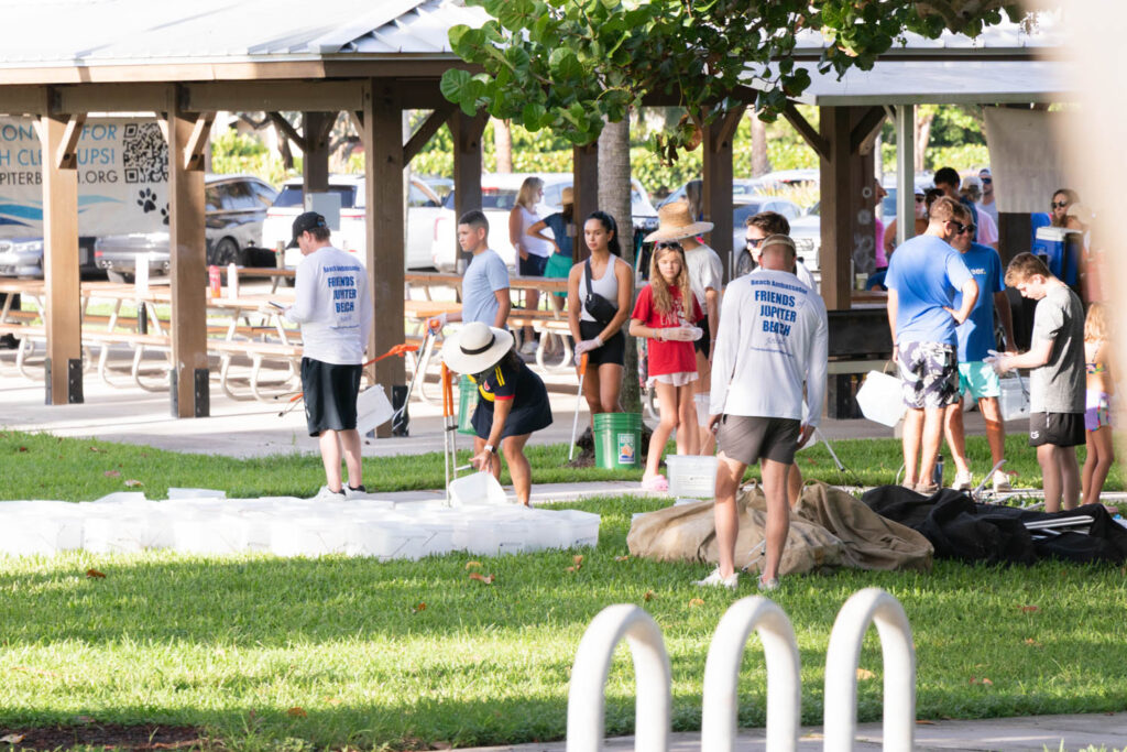 Volunteers gathering in the park before the beach cleanup begins.