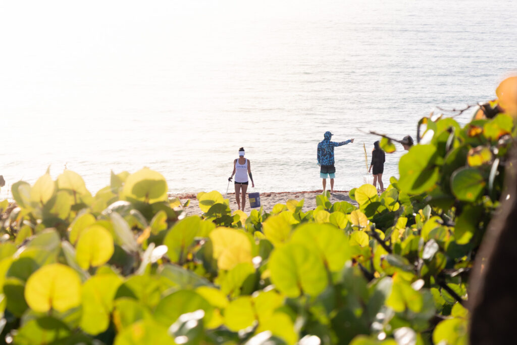 Coastal vegetation overlooking the beach and ocean.