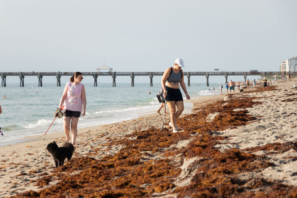 Volunteer walking along the shoreline carrying a bucket with the pier in the background.
