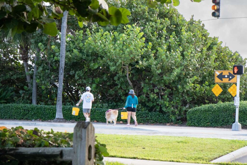 Beach cleanup volunteers holding buckets and cleanup supplies on the grass.